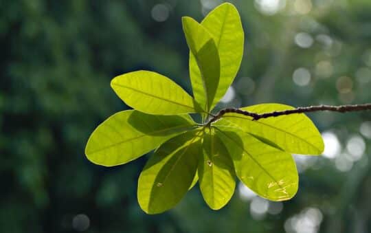 Are Eco-Friendly Housewares Really Better for the Environment? (2026 Buyer’s Guide)